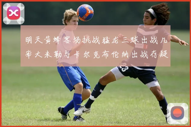 明天黄蜂客场挑战猛龙三球出战几率大米勒与卡尔克布伦纳出战存疑