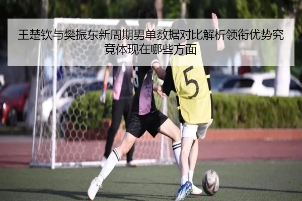 王楚钦与樊振东新周期男单数据对比解析领衔优势究竟体现在哪些方面（3377Sports）